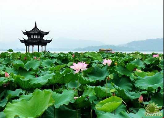 杭州西湖申遗项目将推迟到2011年表决